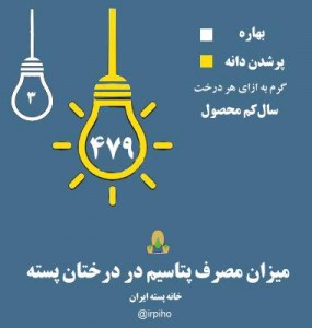 photo_2016-06-18_10-26-12